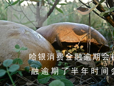 哈银消费金融逾期会被起诉吗-哈银消费金融逾期了半年时间会有上门来追债吗