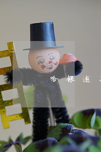 哈银逾期起诉(哈银逾期爆通讯录吗)