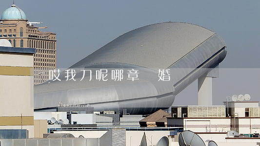 哎我刀呢哪章離婚