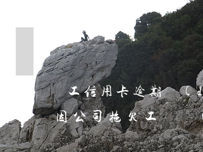 員工信用卡逾期對(duì)公司有影響嗎(因公司拖欠工資導(dǎo)致信用卡逾期)