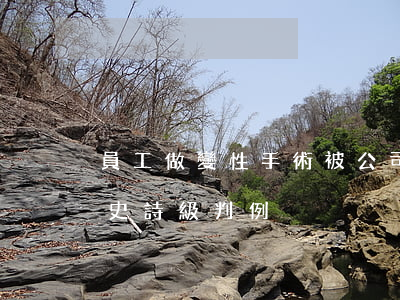 員工做變性手術被公司按曠工解雇，法官判出史詩級判例