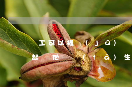 員工可以根據(jù)勞動(dòng)法起訴他嗎(發(fā)生勞動(dòng)糾紛可以直接向人民法院起訴)