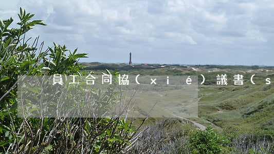 員工合同協(xié)議書(shū)模板