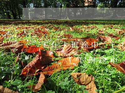 員工在上班途中發(fā)生交通事故怎么賠償(員工下班途中發(fā)生交通事故工傷如何賠償)