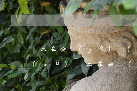 員工在企業(yè)無(wú)力償還債務(wù)(員工在企業(yè)無(wú)力償還債務(wù))