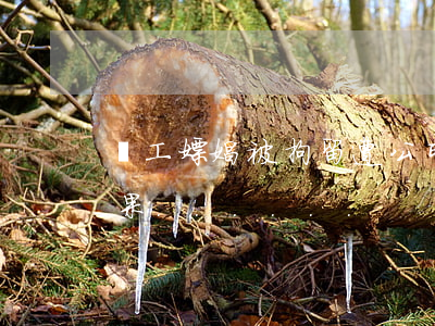 員工嫖娼被拘留，遭公司開除后索賠16萬，結果......