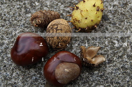 員工學(xué)歷造假，三年后被公司發(fā)現(xiàn)能否解除勞動(dòng)合同