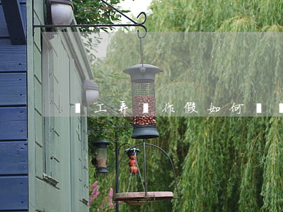 員工弄虛作假如何處罰