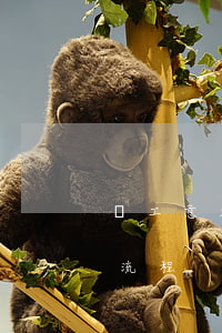 員工意外險申請流程是什么（社保工傷險報銷流程）