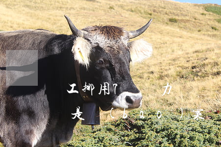 員工挪用7萬無力償還(員工挪用資金是起訴還是報(bào)案)