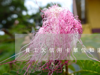 員工欠信用卡單位知道有責任嗎-