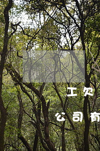 員工欠網(wǎng)貸不還對(duì)公司有影響嗎-員工欠網(wǎng)貸不還對(duì)公司有影響嗎知乎