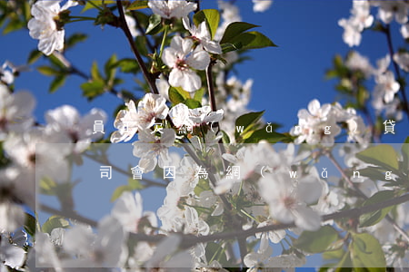 員工欠網(wǎng)貸不還會被開除不(公司會因為網(wǎng)貸欠錢而辭退員工媽嗎)