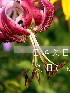 員工欠網(wǎng)貸公司能查到嗎(員工欠網(wǎng)貸公司能查到嗎)