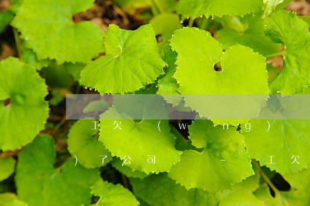 員工欠網(wǎng)貸怎么凍結(jié)了公司帳戶-員工欠網(wǎng)貸怎么凍結(jié)了公司帳戶呢
