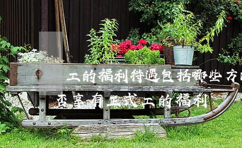 員工的福利待遇包括哪些方面（試用期員工能否享有正式工的福利）