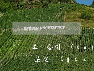 員工簽合同時(shí)做手腳;獲二倍工資，法院：構(gòu)成詐騙罪！（附判決書(shū)）