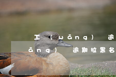 員工網(wǎng)貸逾期會開除嗎(網(wǎng)貸逾期拉黑名單有什么后果)