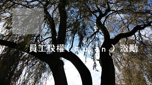 員工股權(quán)激勵