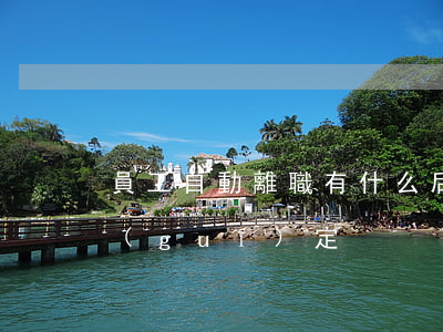員工自動離職有什么后果（關于離職的法律規(guī)定）