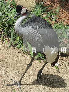 員工試用期不合格，也不能隨意開除