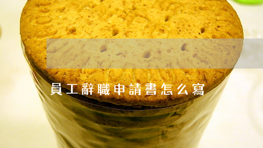 員工辭職申請書怎么寫