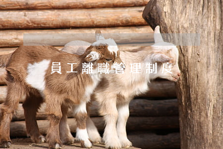 員工離職管理制度