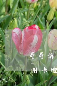 哥哥信用卡逾期會影響弟弟政審嗎-哥哥信用卡逾期會影響弟弟政審嗎知乎