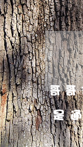 哥哥支付寶花唄逾期會連累我嗎 逾期還花唄是通過支付寶還嗎