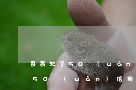 哥哥欠了50萬(wàn)信用卡(哥哥欠了50萬(wàn)信用卡怎么還)