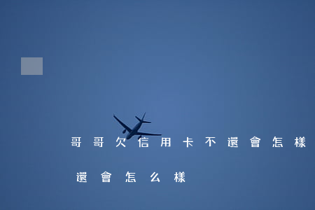 哥哥欠信用卡不還會怎樣(信用卡一直欠著不還會怎么樣)