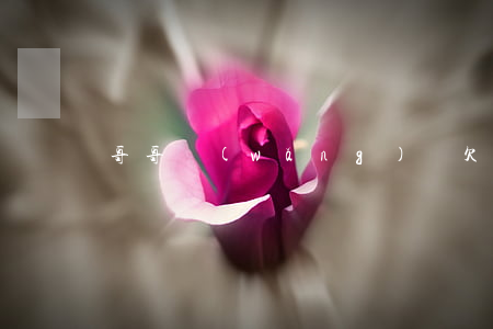 哥哥網(wǎng)貸欠一堆債