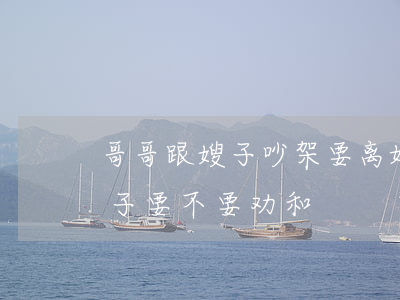 哥哥跟嫂子吵架要离婚怎么劝(哥嫂离婚小姑子要不要劝和)