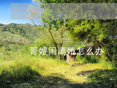 哥嫂闹离婚怎么办