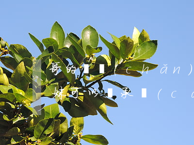 哥的遺產(chǎn)妹和弟可以繼承嗎(兄妹可以繼承財(cái)產(chǎn)嗎)