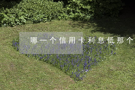哪一个信用卡利息低（那个信用卡利息少一点）