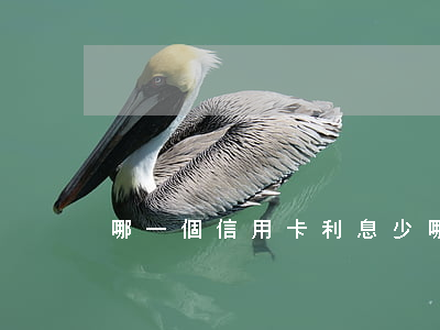 哪一個信用卡利息少（哪幾個信用卡利息低）