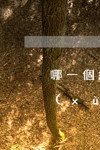 哪一個網(wǎng)貸提前還款不收手續(xù)費(fèi)的-哪一個網(wǎng)貸提前還款不收手續(xù)費(fèi)的呢