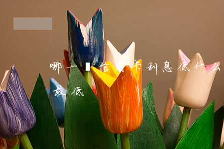 哪一種信用卡利息低(什么銀行的信用卡利息最低?)