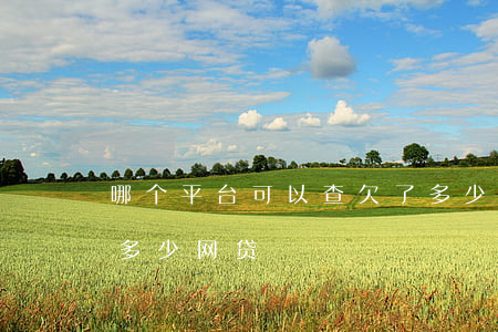 哪个平台可以查欠了多少网贷(在哪里查欠了多少网贷)