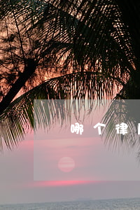 哪个律所律师好(哪个律所律师好)