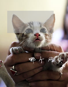 哪个网贷平台正规(网贷有哪些正规平台)