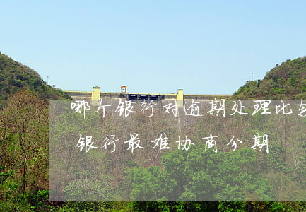 哪个银行对逾期处理比较松（信用卡逾期哪个银行最难协商分期）