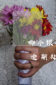 哪个银行对逾期处理比较松，揭秘：哪些银行的逾期处理较为宽松？