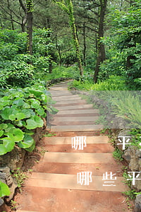 哪亇平臺(tái)逾期還可以貸款(逾期中哪些平臺(tái)可以貸款)