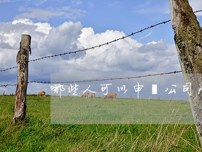 哪些人可以申請公司清算破產(chǎn)