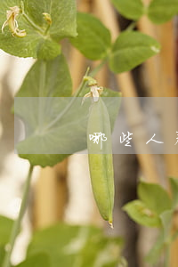 哪些人群可以免費打官司