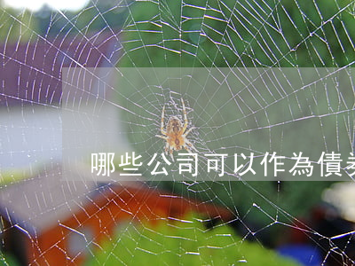 哪些公司可以作為債券發(fā)行主體