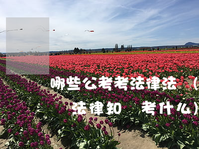 哪些公考考法律法規(guī)(公務員考試法律知識考什么)
