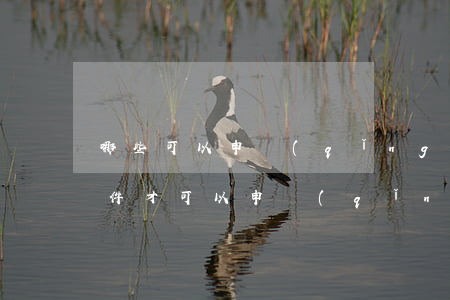 哪些可以申請(qǐng)法律援助(什么條件才可以申請(qǐng)法律援助)
